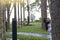 Asian little girl emerges and smile from behind a tree while she playing hide and seek in the park.