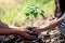 Asian little girl helping his father to plant the tree