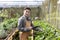 Asian local farmer growing salad lettuce and checking the growth rate inside the greenhouse using organics soil approach for