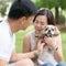 Asian lovely couple with shih tzu dog