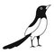 Asian magpie icon, simple style