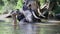 Asian mahout with elephant in creek , Chiang mai Thailand.