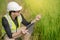 Asian male agronomist observing on rice field