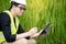 Asian male agronomist observing on rice field