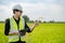 Asian male agronomist observing on rice field