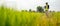 Asian male agronomist observing on rice field