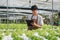 Asian male farmers grow hydroponic vegetables. Farmers farm lettuce for health. Business owner Green greenhouse