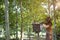 Asian man beekeeper in orange protection suit getting out a honeycomb from a beehive with bees swarming around in the fruit tree g