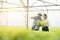 Asian man farmer holding wicker basket with fresh organic green lettuce vegetables in greenhouse hydroponic nursery farm,Small