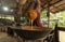 Asian man making boiled palm coconut sugar or cane production process, raw material, Amphawa, Thailand. Traditional culture