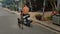 Asian Man Rides Scooter and Dog on Leash Runs near