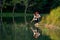 Asian man sit near the lake and use some wood stick steep in the water during travel and camping in national park and show reflect