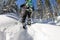 Asian man snowboarder freeride in snowshoes rises uphill in winter on snow