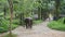 Asian Man Washing and Bathing the Elephant in Beautiful Tropical Forest. Elephant Tourist Trekking in Thailand. HD