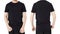 Asian man wearing blank black tshirt isolated on white background, man in t-shirt mock up