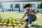 Asian man working in organic farm morning routine harvesting homegrown produce vegetables at Home