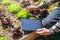 Asian man working in organic farm morning routine harvesting homegrown produce vegetables at Home