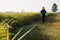 Asian mature adult senior woman jogging in the morning in nature trail organic rice paddy field path. Healthy lifestyles and