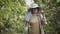 Asian mature woman farmer holding young cacao tree plant and carrying a hoe on shoulder walking in cacao plantation farm to