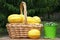 Asian Melons with Miniature watermelons from Organic Farm