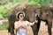 Asian middle aged woman tourist relaxing and take a photo with elephants in chiang Mai ,Thailand