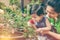 Asian mother and daughter admiring for rose flowers with sunlight. Vintage tone.