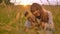 Asian mother tenderly holding her boy who shows thumb up and smile happily on sunset in wheat field