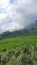 Asian Mountains Sapa Vietnam With Cloudy Sky 6