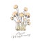 Asian mushrooms illustration. Fresh Enoki or Shimeji mushrooms. Family  of mushrooms.