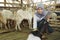 Asian muslim veterinarian medical check up farm animal