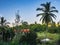 Asian nature landscape and Thai wooden cottage