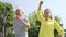 Asian old couple exercising outdoors