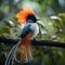 Asian paradise flycatcher bird in Sri Lanka  Made With Generative AI illustration