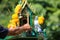 Asian people with incense pay respect to shrine or spirit worship