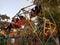 Asian poor village childrens enjoying swing at local fair program in India January 2020