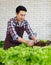 Asian professional successful cheerful male farmer gardener in apron standing smiling harvesting holding fresh raw organic green