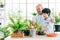 An Asian retired grandfather and his grandson spend quality time together at home. Enjoy taking care of the plants.