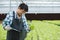 Asian retired man farmers holding organic vegetable and paperwork working analyze research quality â€‹in hydroponics greenhouse.