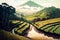 Asian rice field, plantation agriculture, landscape oriental landscape, digital illustration
