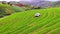 Asian rice field terrace on mountain side in Pabongpiang village, Chiang mai province,Thailand