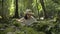 Asian schoolgirl wearing straw hat sitting and writing on notebook about the nature in tropical forest for education.