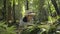 Asian schoolgirl wearing straw hat using magnifying glass to see the details of plants and insects in tropical forest.