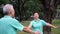 Asian Senior Elderly couple Practice Taichi, Qi Gong exercise outdoor