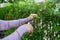 Asian senior or elderly old lady woman trim the branches with pruning shears for taking care garden in house, hobby to relax and