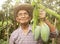 Asian senior gardeners wearing a hat and glasses holding green mangoes, stand in the garden with proud of the agricultural