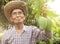 Asian senior gardeners wearing a hat and glasses holding green mangoes, stand in the garden with proud of the agricultural