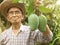 Asian senior gardeners wearing a hat and glasses holding green mangoes, stand in the garden with proud of the agricultural