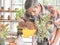 Asian senior  man standing  at table indoor with plant pots , taking care of houseplants , watering it with yellow watering can.