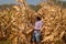 Asian senior woman with chart holder report examine product seed  farmer in golden view of dry leaves corn field background ready