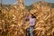 Asian senior woman with chart holder report examine product seed  farmer in golden view of dry leaves corn field background ready